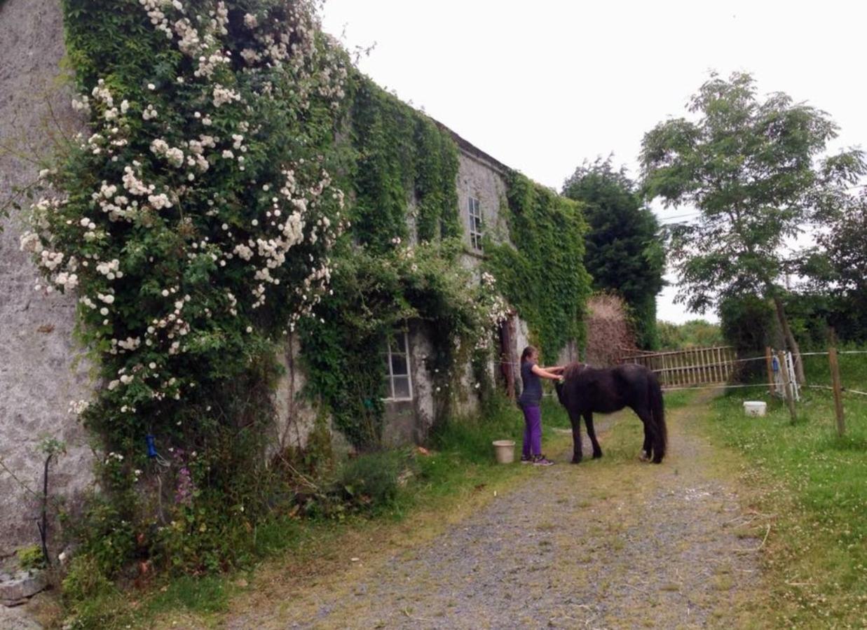 Ballyrider House Hotel Inch Cross Exterior foto